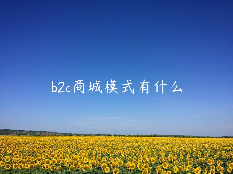 b2c商城模式有什么